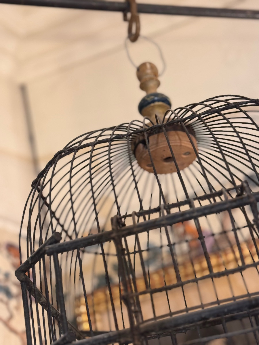 19th Century Parrot Birdcage In Iron And Wood, Folk Art Décor-photo-8