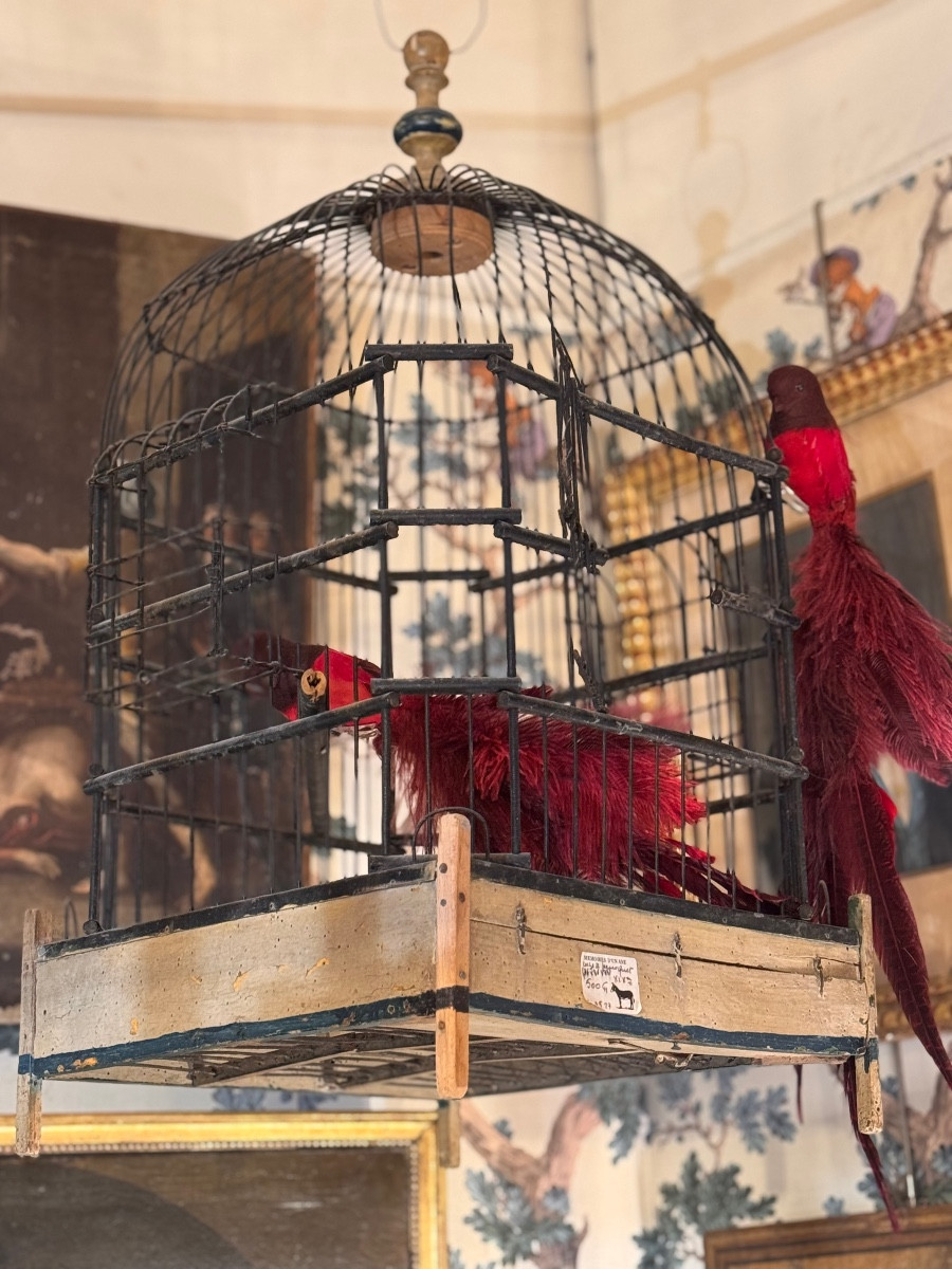 19th Century Parrot Birdcage In Iron And Wood, Folk Art Décor