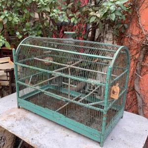 Large Winter Garden Cage 19th