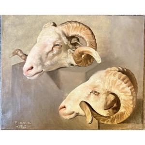 Study Of Rams' Heads Signed And Dated Feraud 1848
