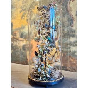 Curiosity Globe Containing 25 Stuffed Birds Under Glass – Cabinet Of Curiosities, Late 19th Century
