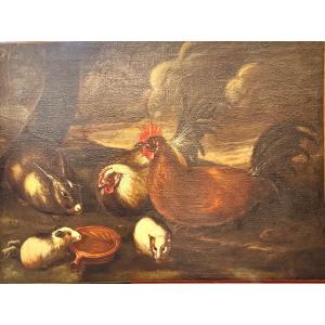 Scène animalière aux volailles et cobayes Attribué à Franz Werner von Tamm (1658-1724) 