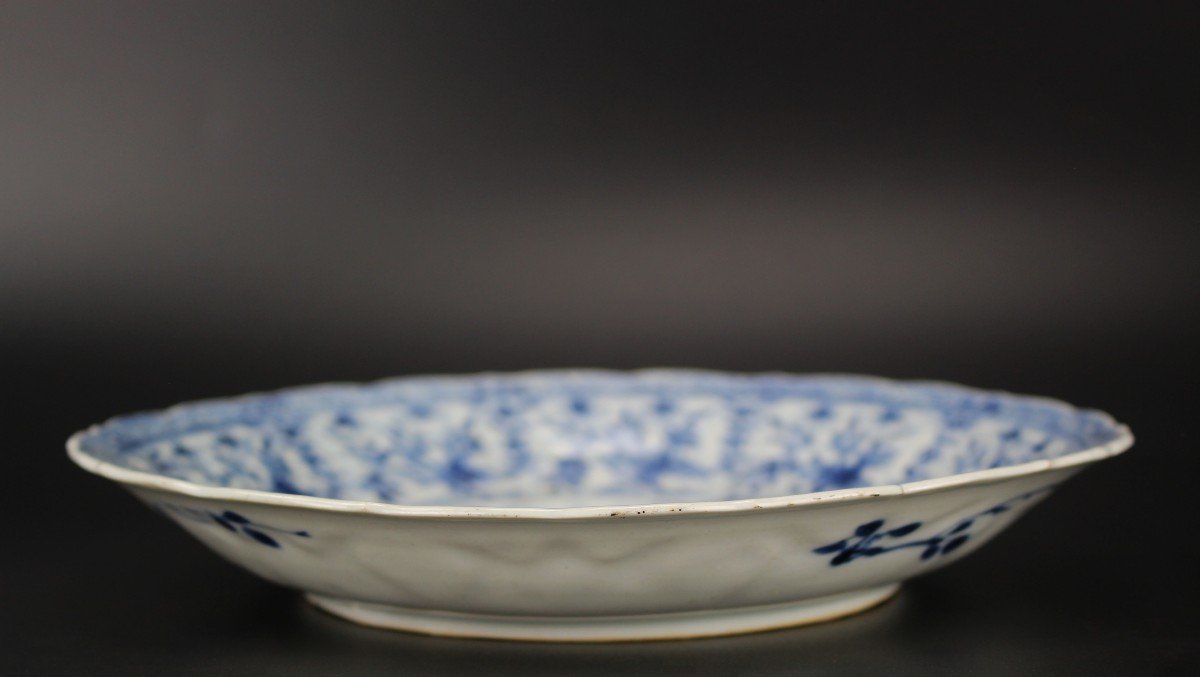 5 Assiettes En Porcelaine Chinoise Kangxi Bleu Et Blanc, Dynastie Qing Antiquités Du XVIIIe S.-photo-3
