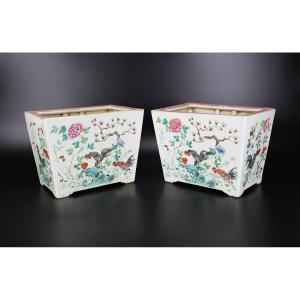 Chinese Porcelain Famille Rose ‘rooster’ Jardinieres 2x Qing Dynasty 19th Century Bonsai Pot 