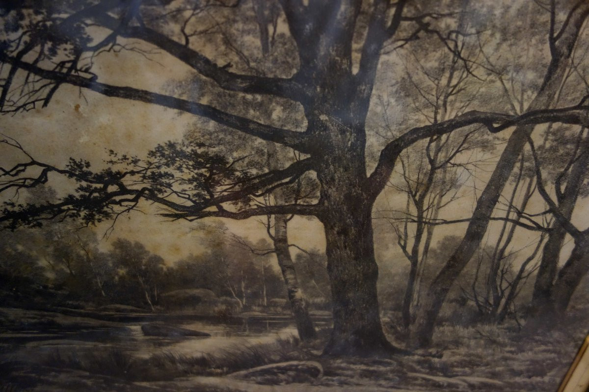 Auguste Allongé (1833-1889), Charcoal-photo-3