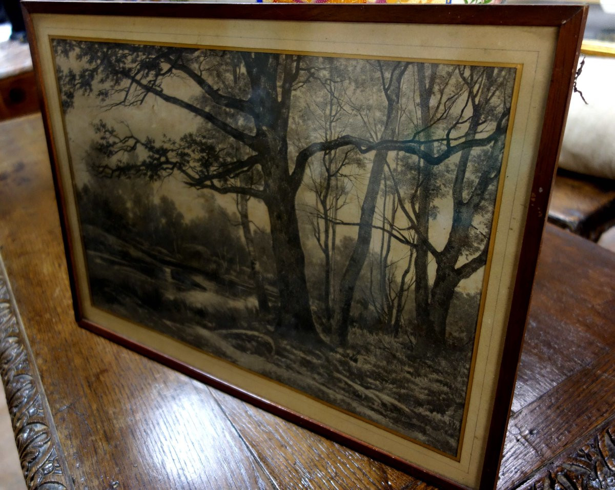 Auguste Allongé (1833-1889), Charcoal-photo-4