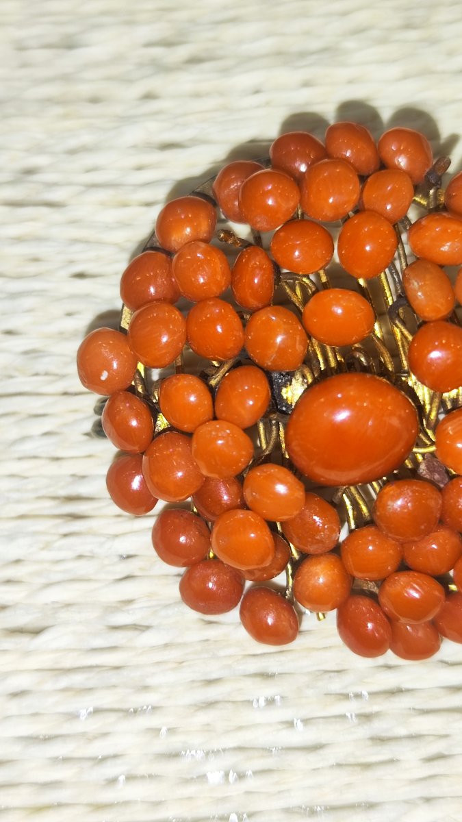 Broche en corail rouge du XIXe siècle-photo-3
