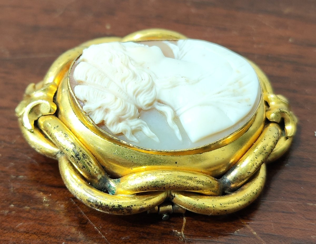 Broche camée victorienne raffinée, XIXe siècle-photo-3