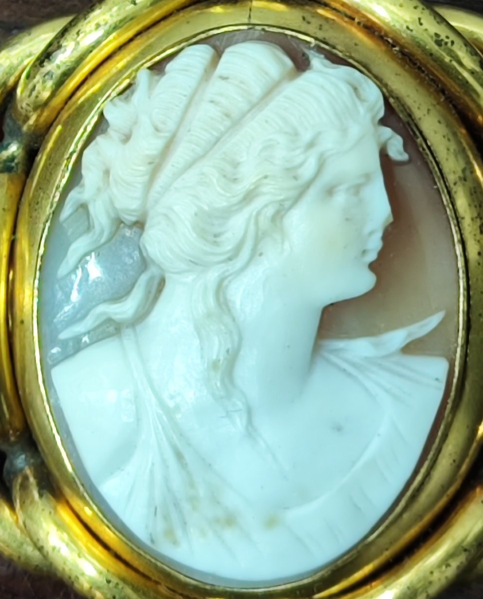 Broche camée victorienne raffinée, XIXe siècle-photo-4