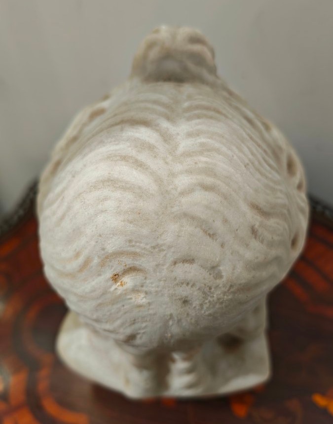 Grand Tour Carrara Marble Bust -photo-6