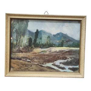 Huile sur carton de Domenico Mastroianni