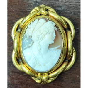 Broche camée victorienne raffinée, XIXe siècle