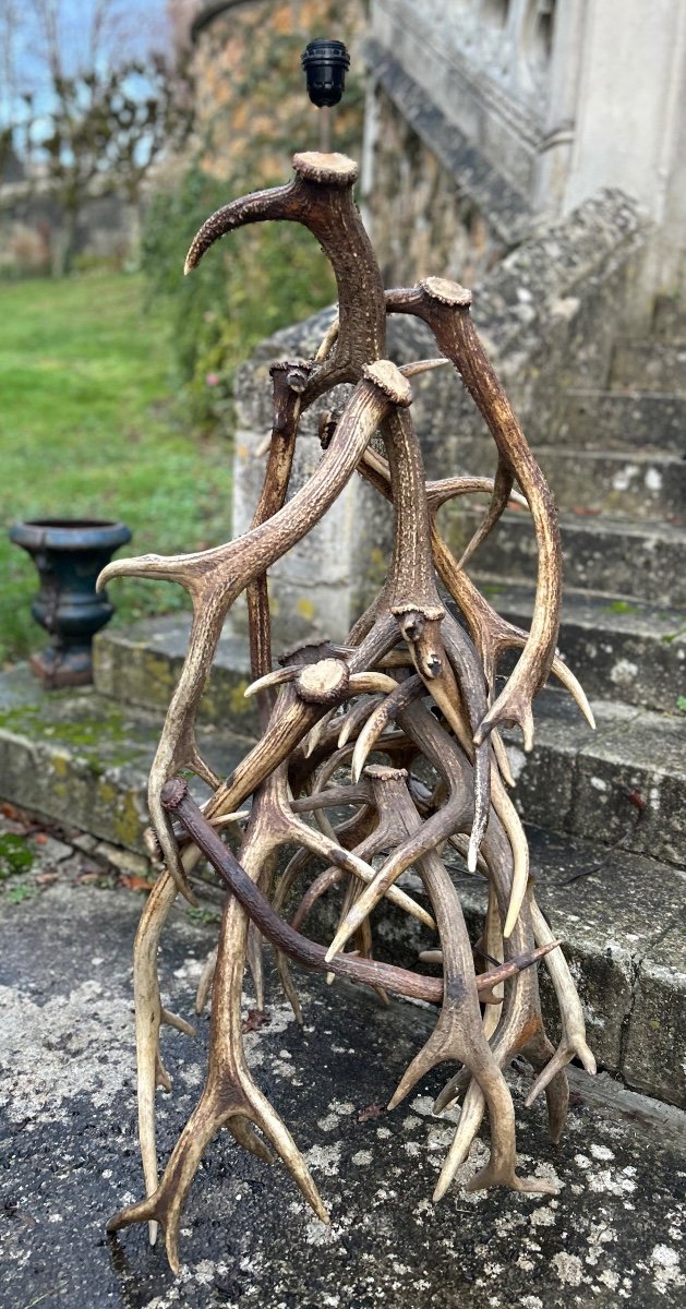 Deer Antler Floor Lamp