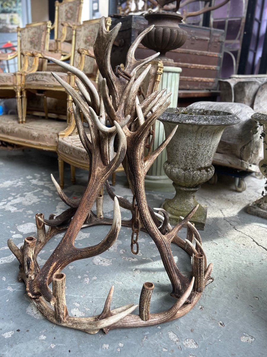 Deer Antler Chandelier