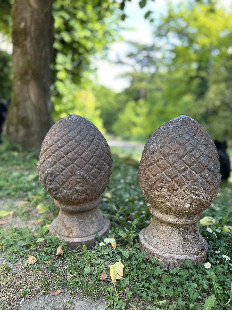 Paire De Pommes De Pin Décoratives 