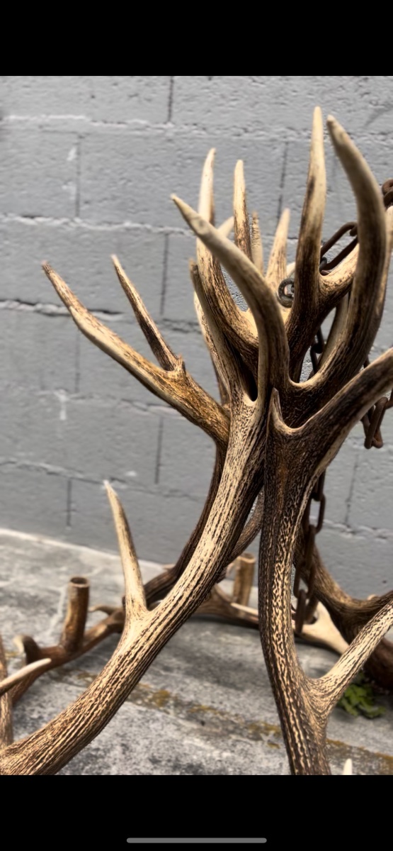 Lustre en bois de cerf-photo-2