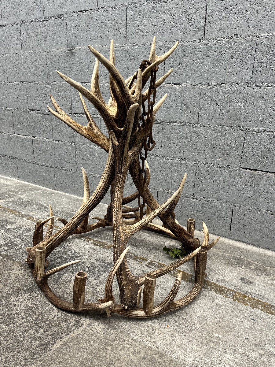 Lustre en bois de cerf