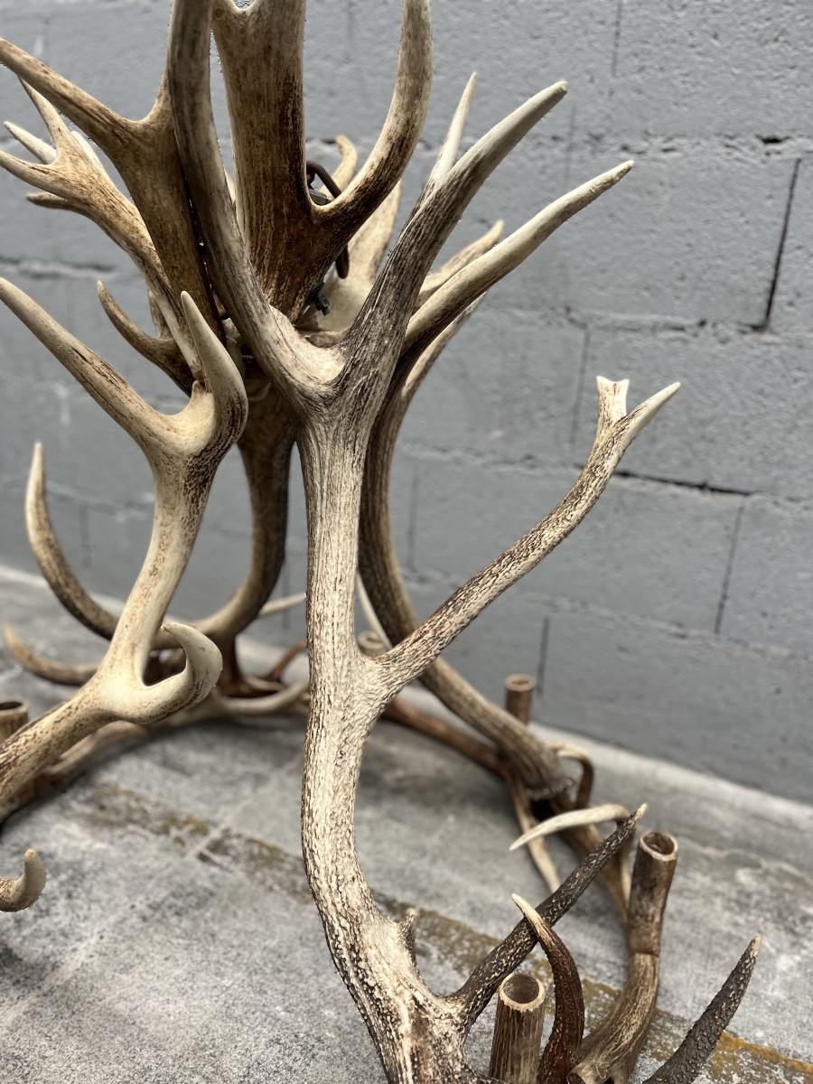 Lustre en bois de cerf -photo-2
