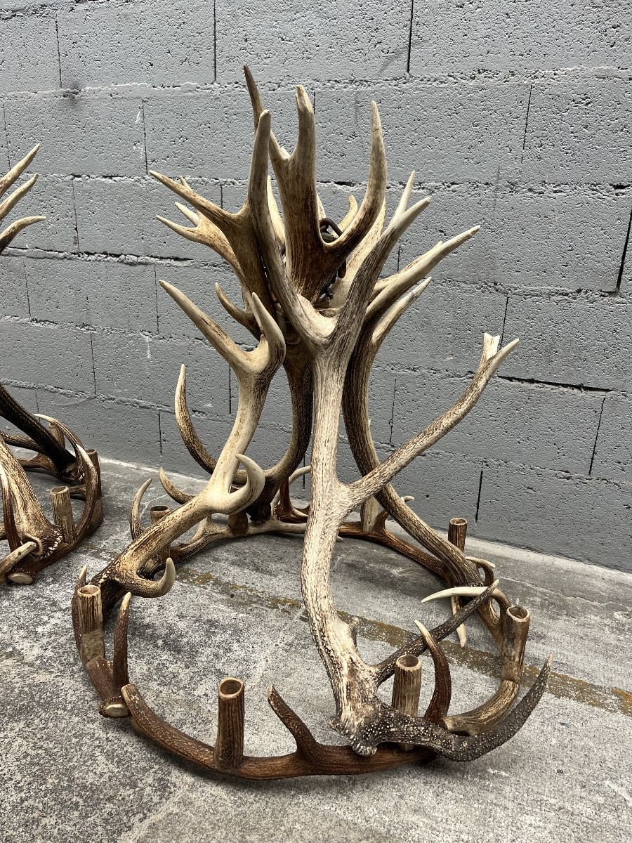 Lustre en bois de cerf -photo-3