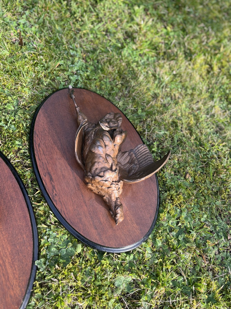 Bécasse et perdrix -photo-3