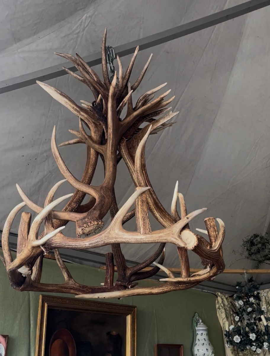 Deer Antler Chandelier-photo-2