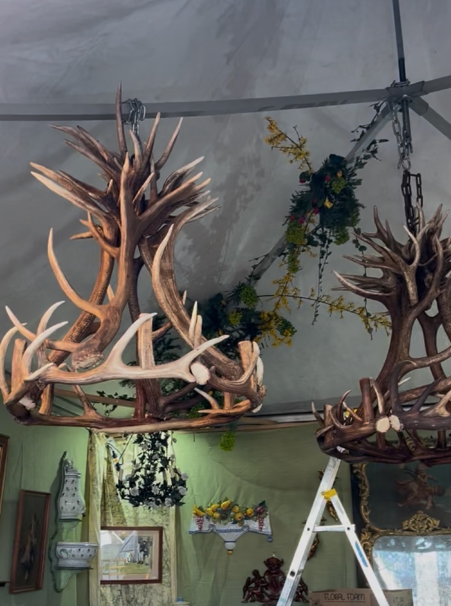 Deer Antler Chandelier-photo-3