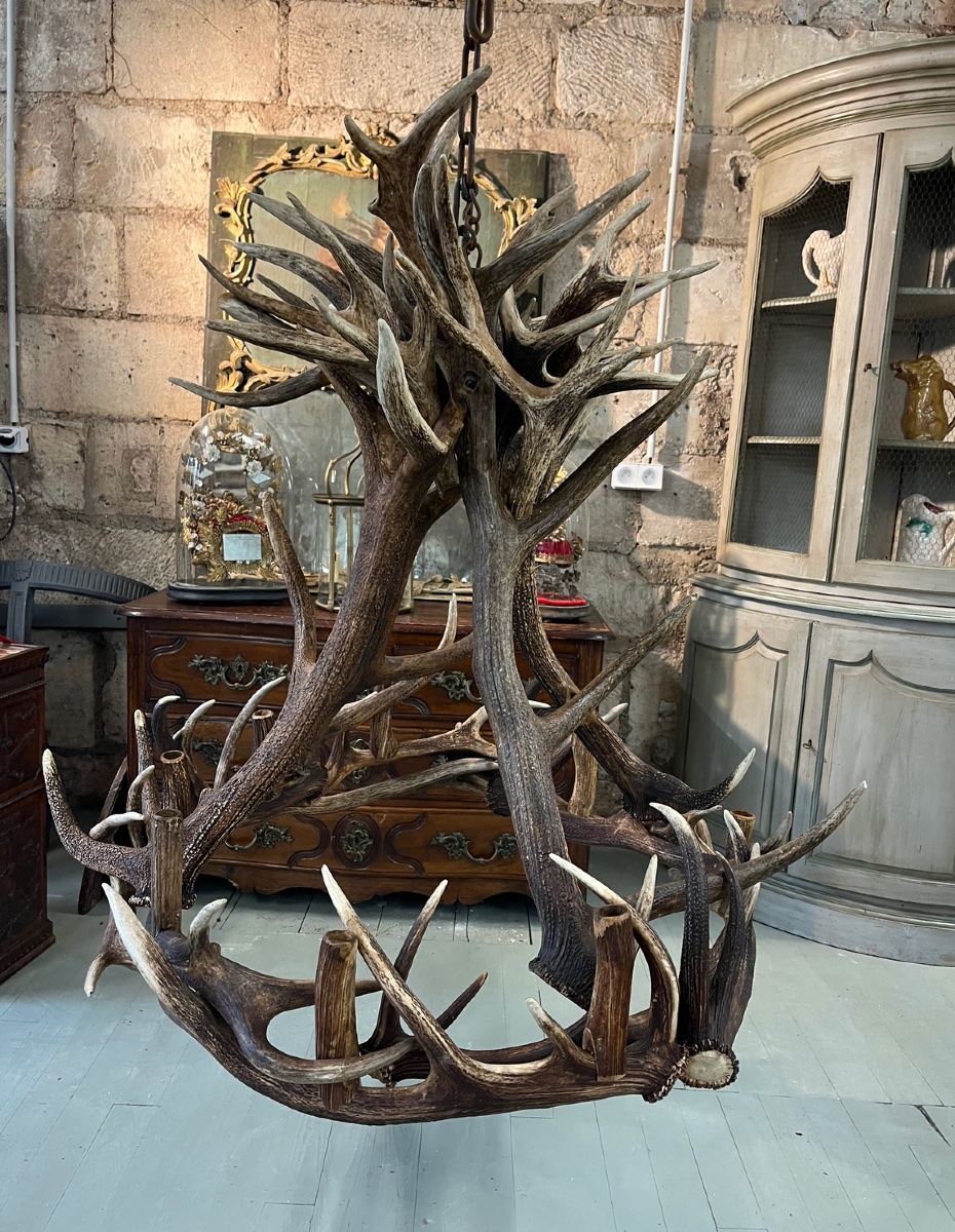 Large Antler Chandelier-photo-2