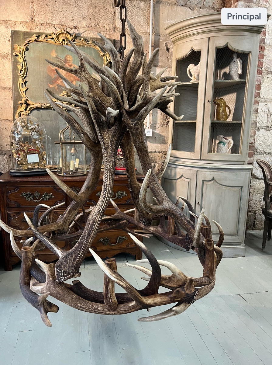 Large Antler Chandelier