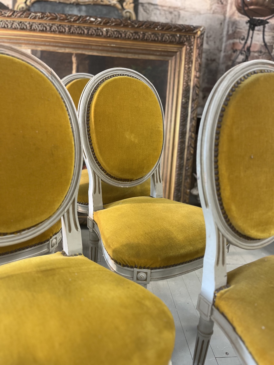 Suite de 6 chaises en velours 