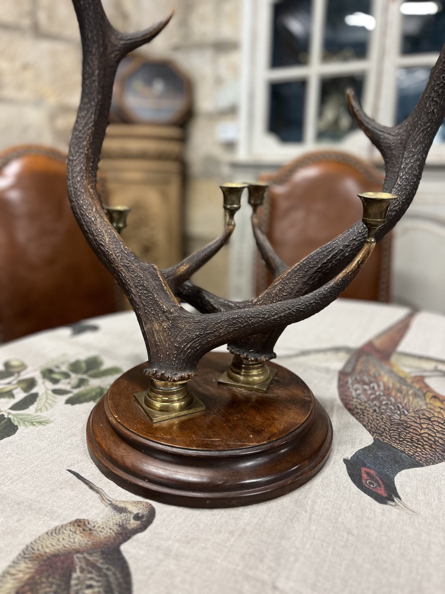Deer Antler Candle Holder -photo-3