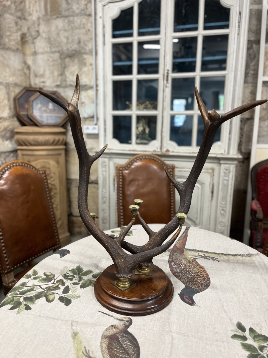 Deer Antler Candle Holder 