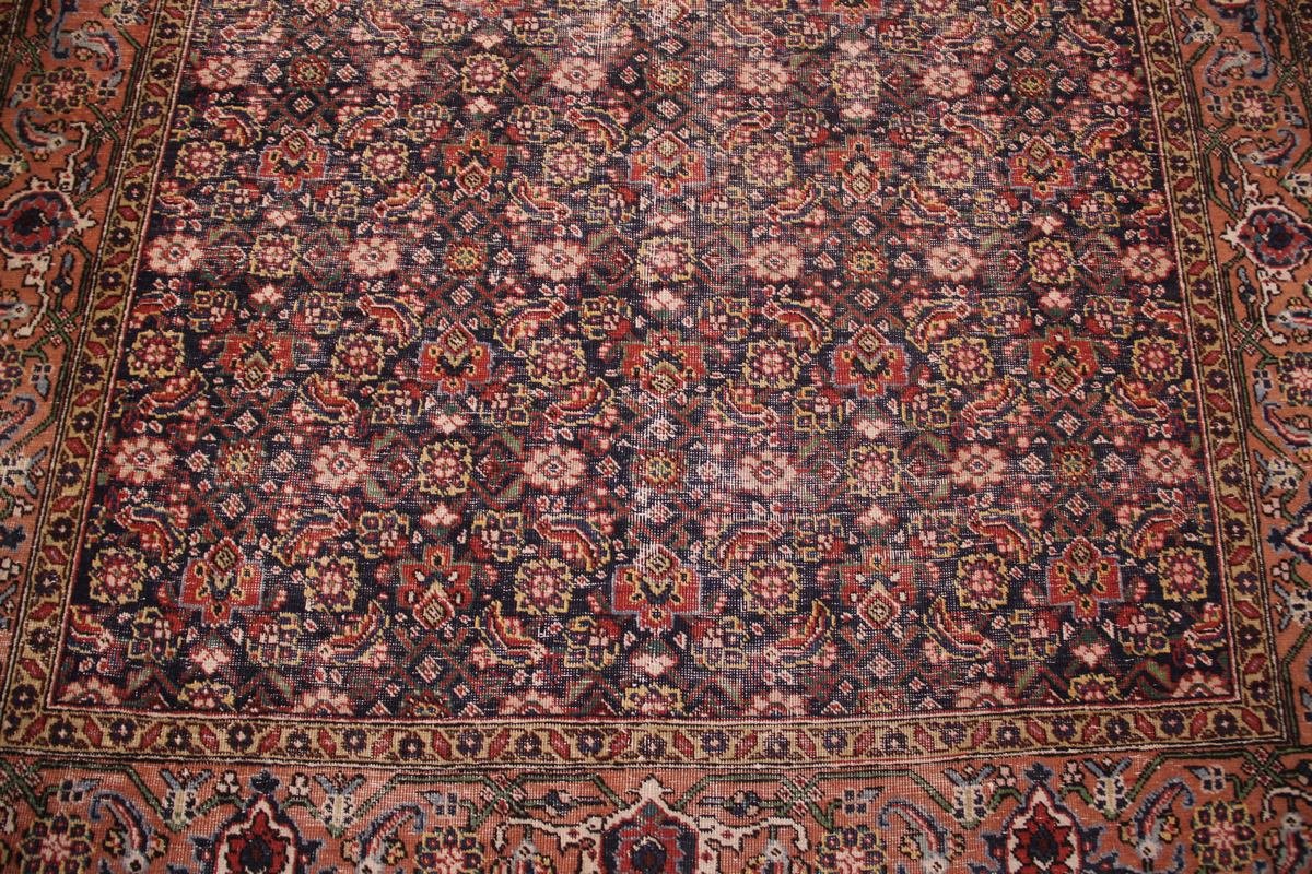 Tapis Ardebil Iran 306 x 175 cm-photo-1