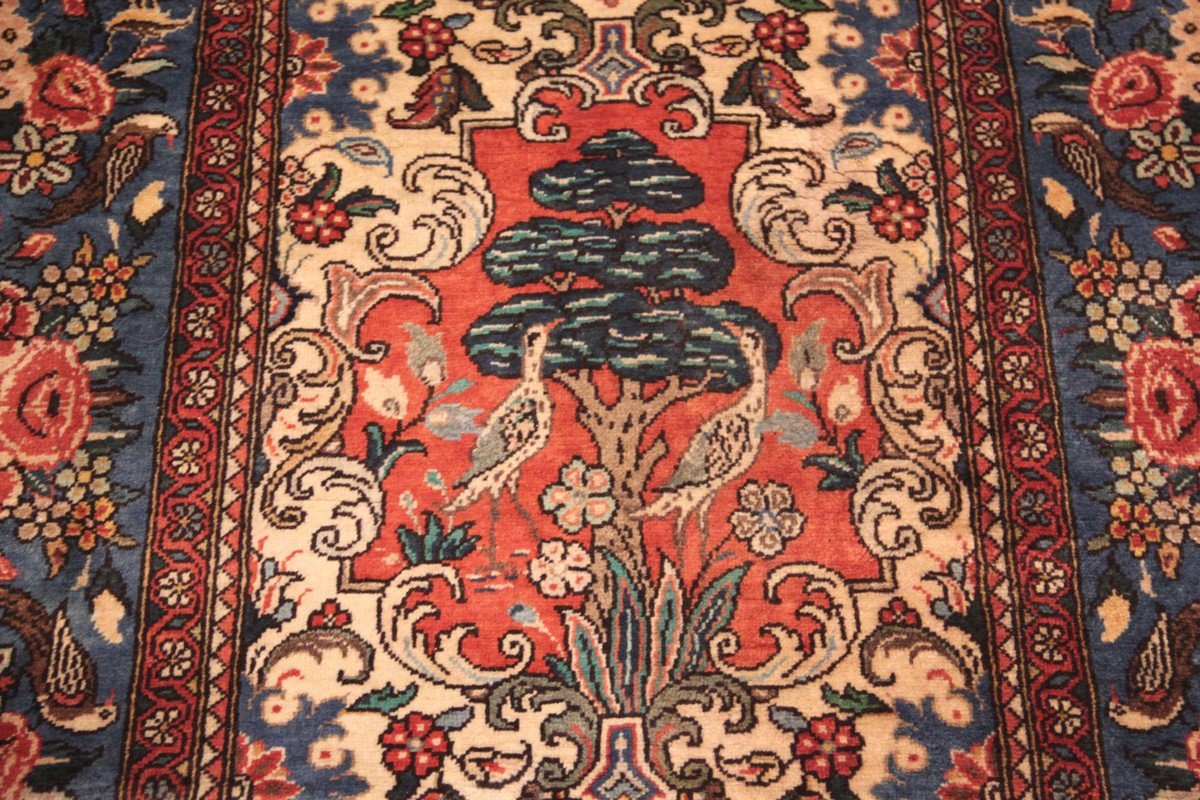 Tapis Bakthiar Djahad Iran 352 x 92 cm-photo-3