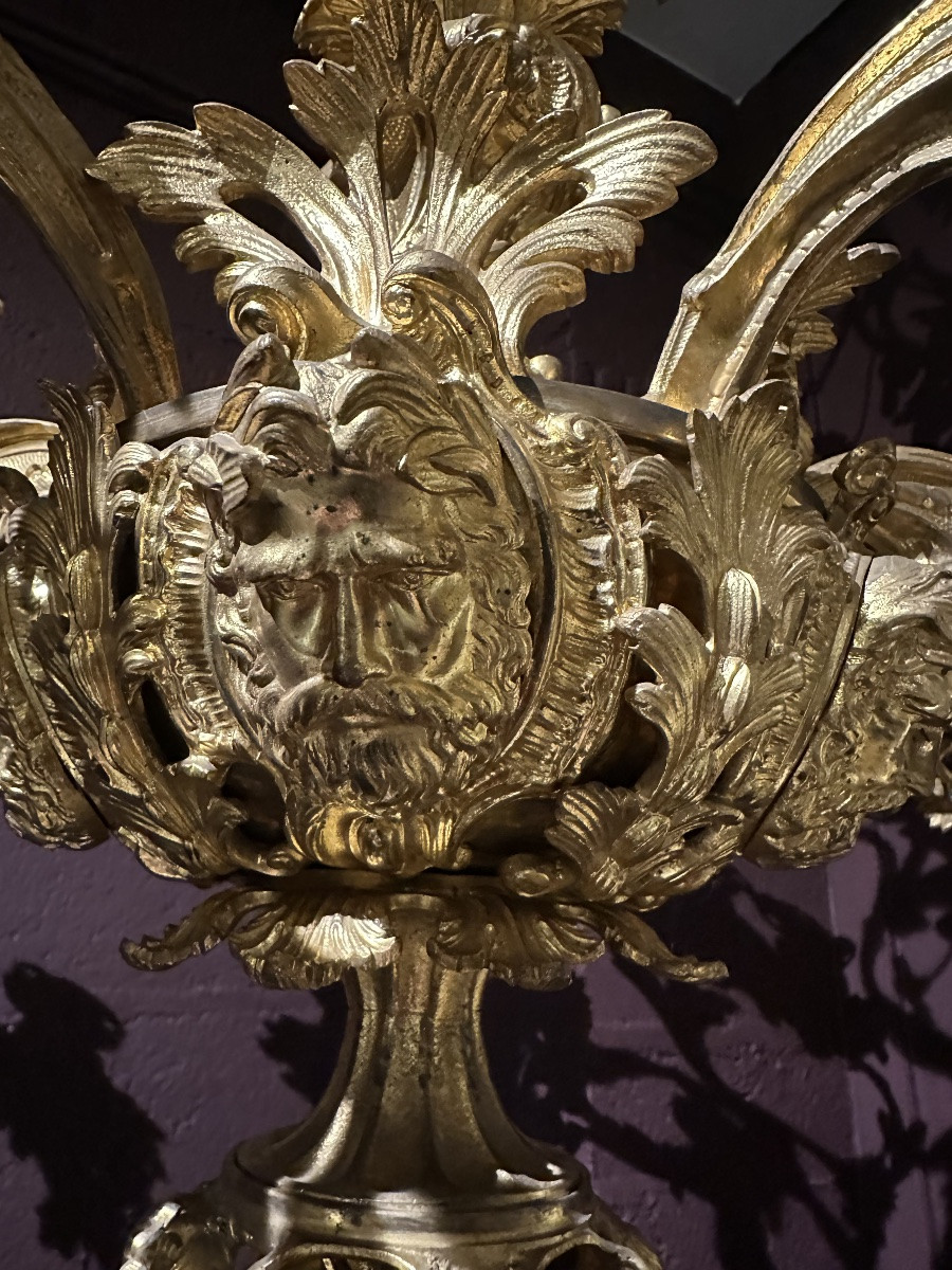 lustre Rocaille. 20 bras en bronze XIXe-photo-2