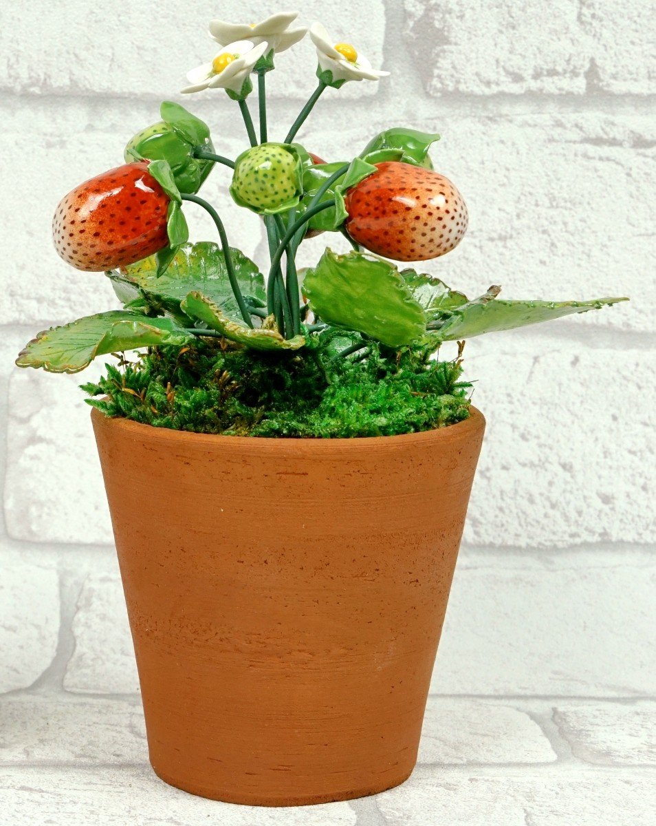 Fruits - Porcelain Strawberry Plant By Didier Gardillou - Ep. 21st-photo-2