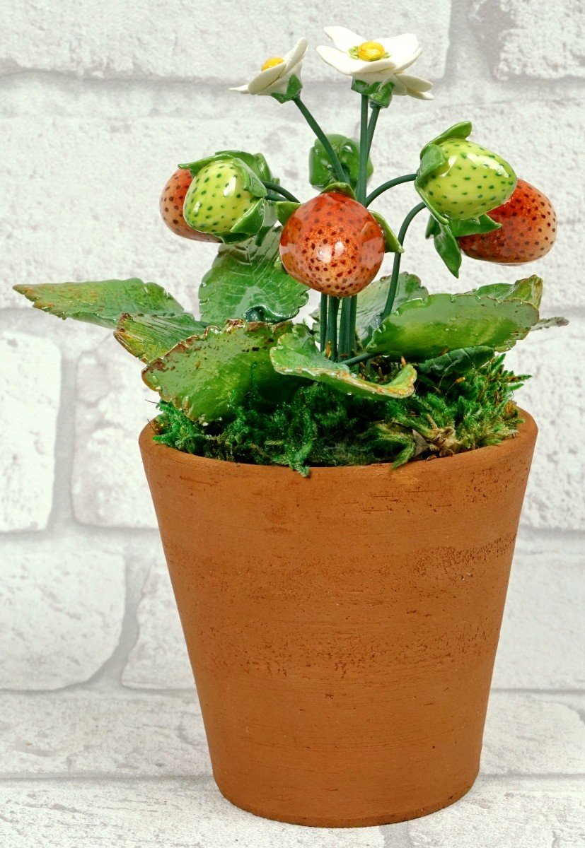 Fruits - Porcelain Strawberry Plant By Didier Gardillou - Ep. 21st-photo-3