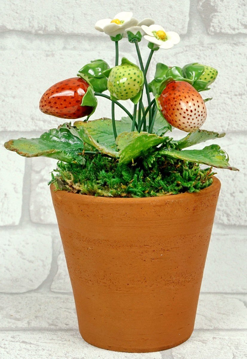 Fruits - Porcelain Strawberry Plant By Didier Gardillou - Ep. 21st-photo-4