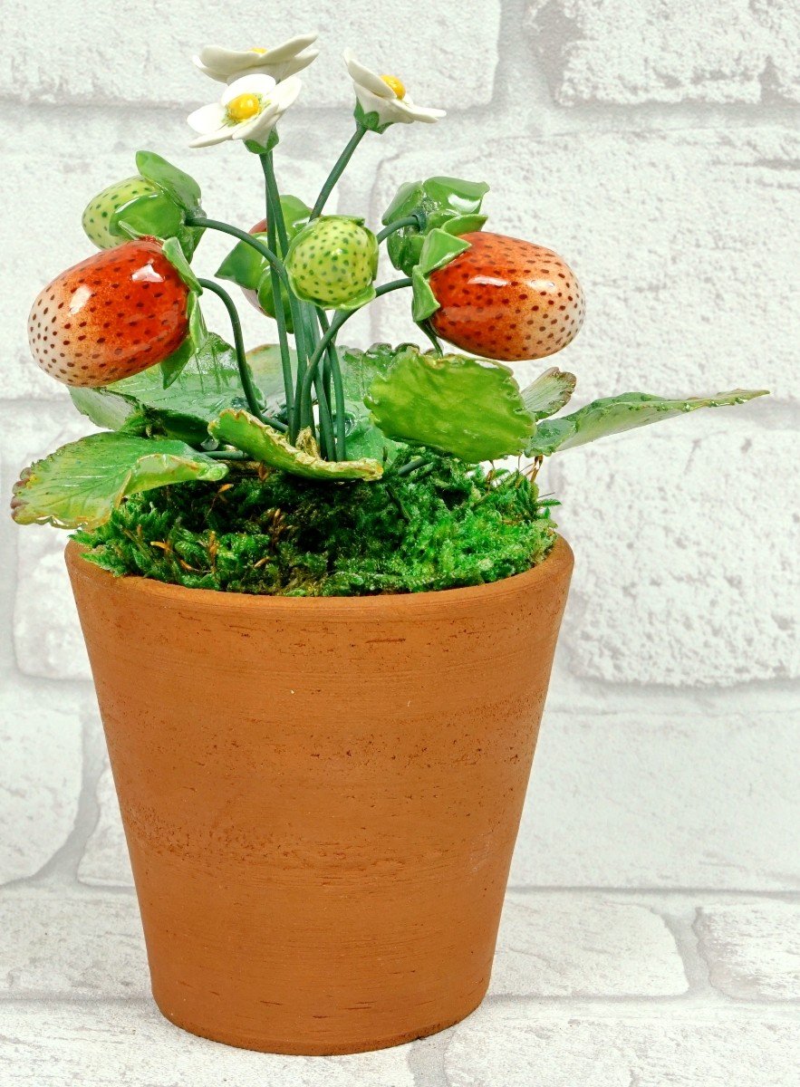 Fruits - Porcelain Strawberry Plant By Didier Gardillou - Ep. 21st-photo-1