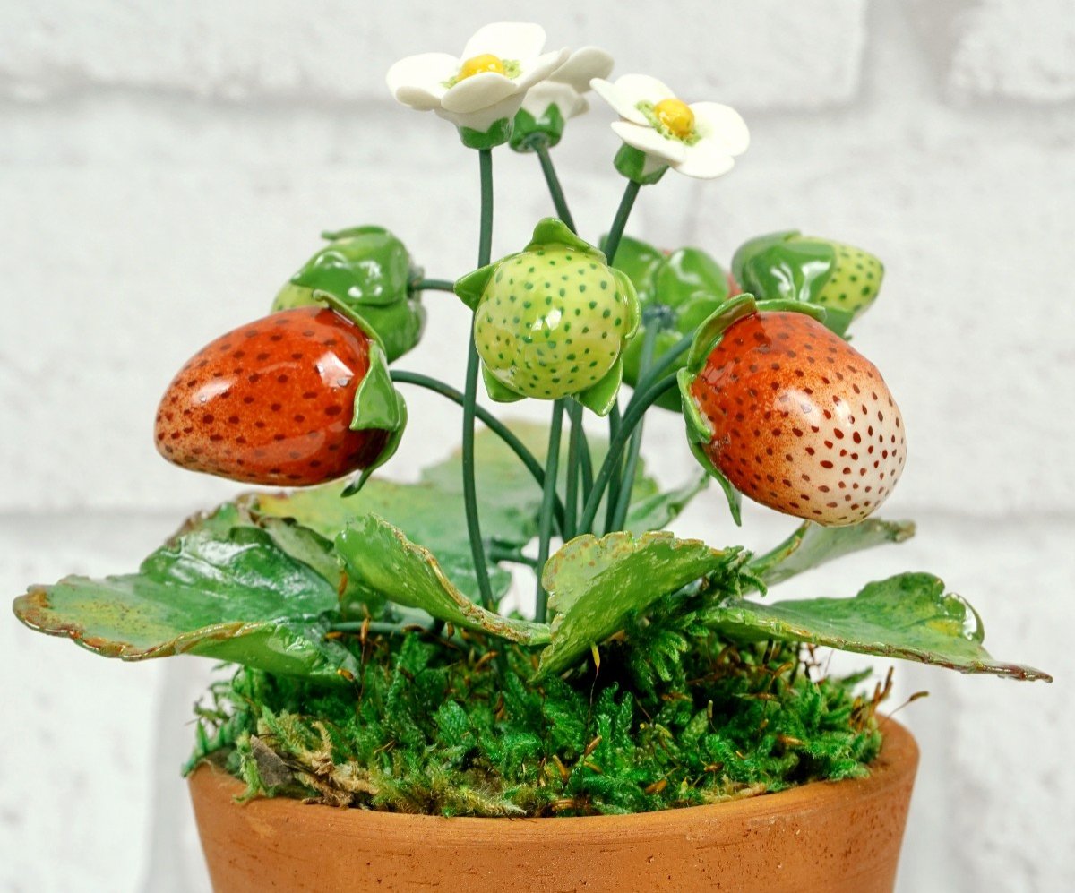 Fruits - Porcelain Strawberry Plant By Didier Gardillou - Ep. 21st-photo-3