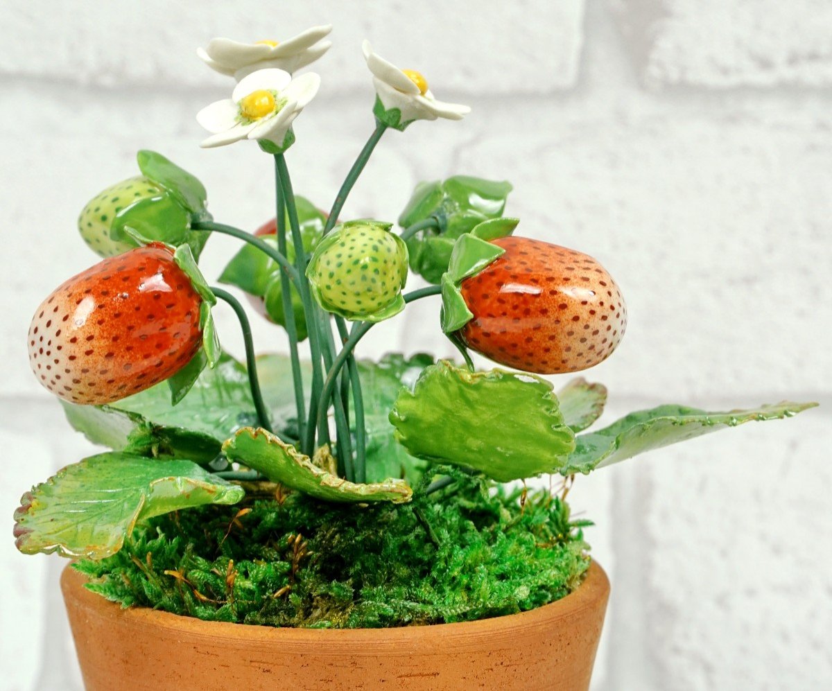 Fruits - Porcelain Strawberry Plant By Didier Gardillou - Ep. 21st-photo-4