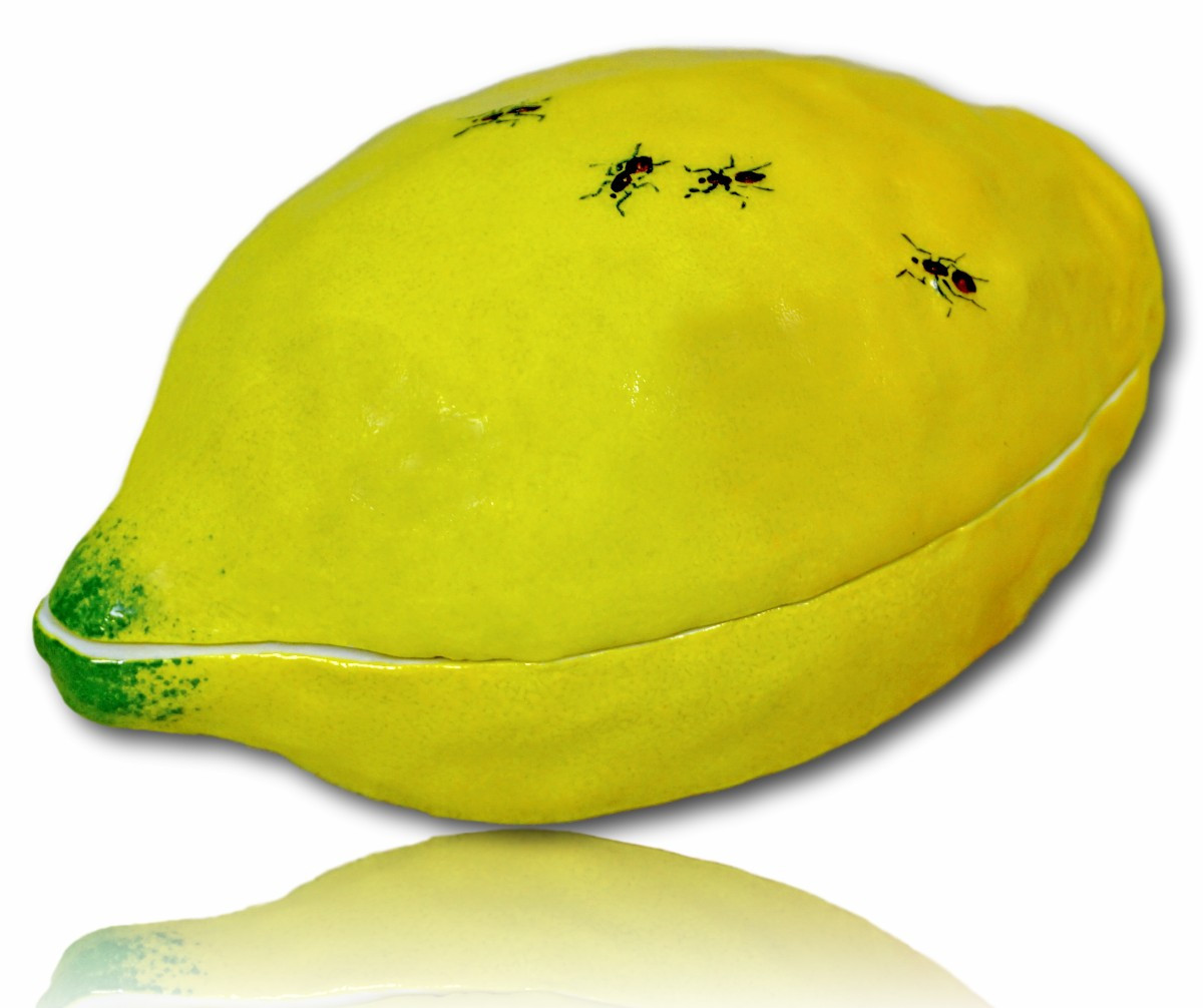 Lemon-shaped Box Decorated With Ants - Trompe l'Oeil Porcelain By Didier Gardillou 
