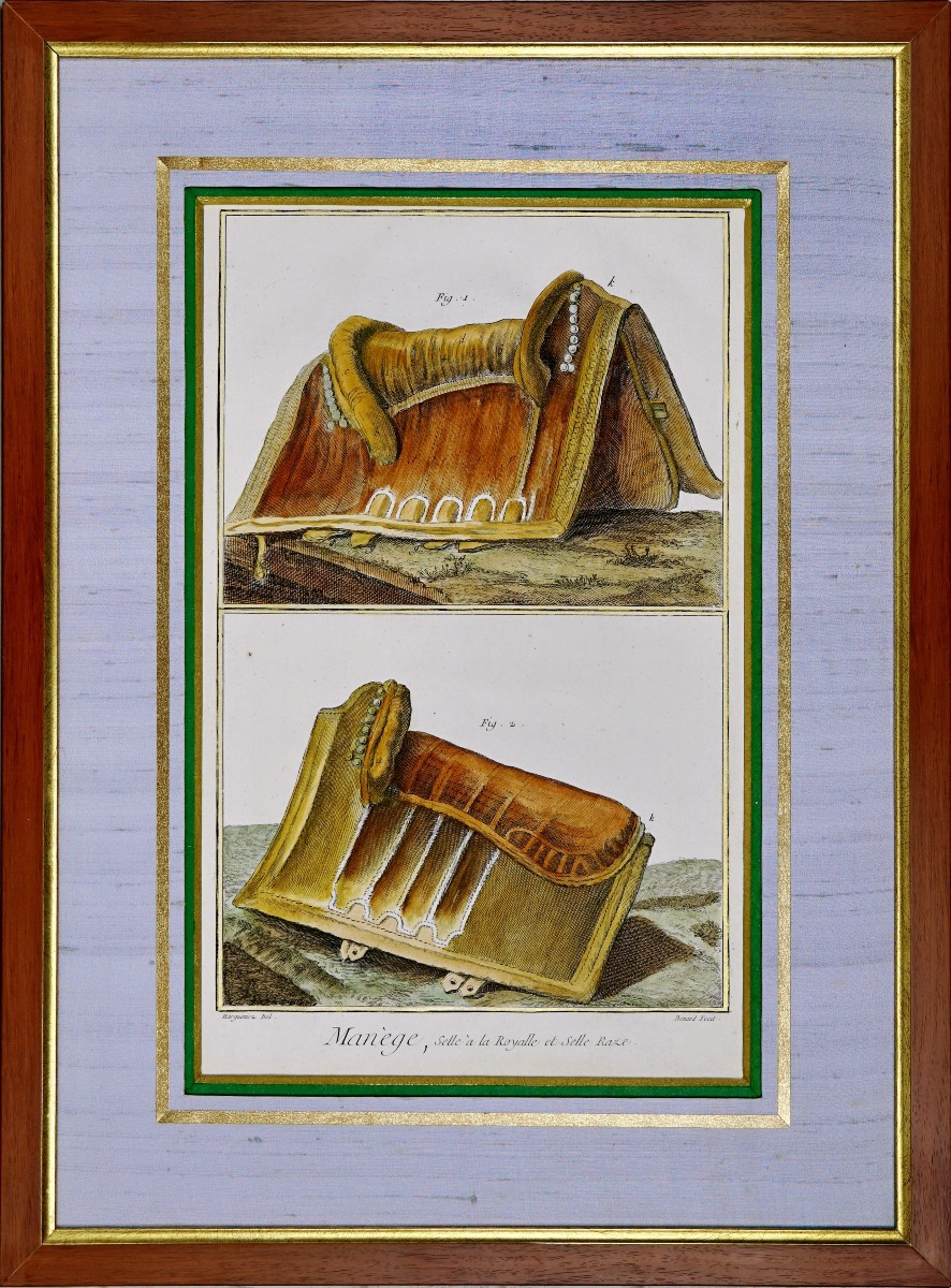 Large Equestrative Engraving: The Manege - Royal Saddle And Raze Saddle - 18th Century