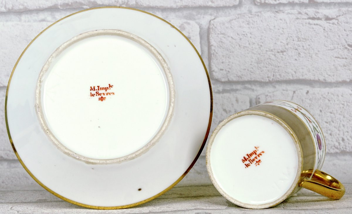 Tasse Litron And Its Soucoupe In Porcelain Of Sèvres - Manufacture Imperiale - Ep. Empire-photo-4