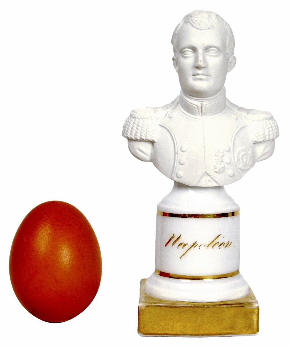 Bust Of Napoleon I In Biscuit Porcelain  - Early 19th Century-photo-2