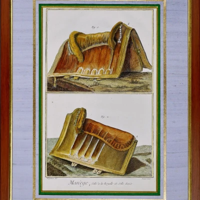 Premiere-Image-1766767