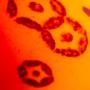 1350149-666027eb12d38.jpg