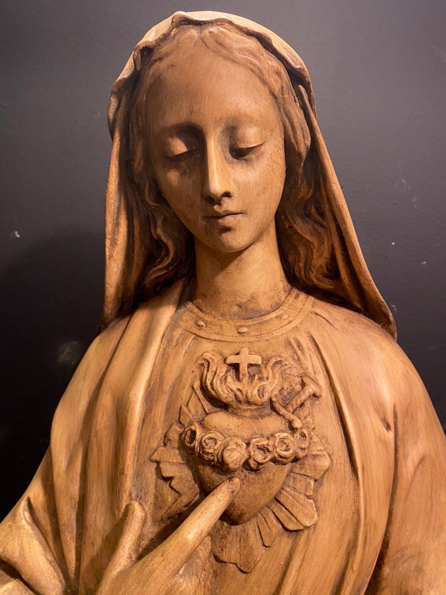 Virgin Of The Sacred Heart-photo-2