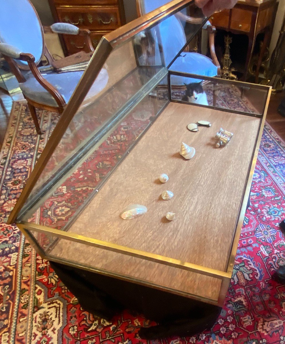 Vitrine Plate -photo-4