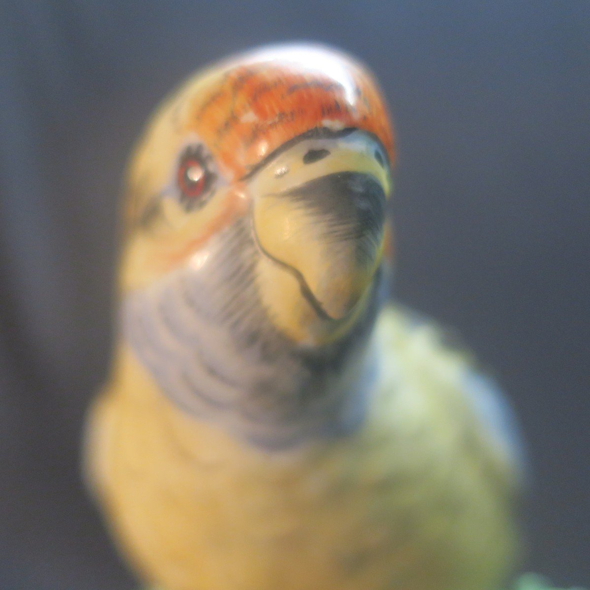 Capodimonte Parrot-photo-2