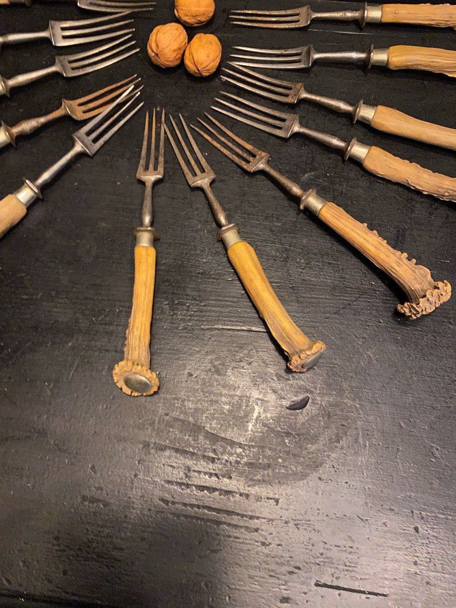 12 Forks With Deer Antler Handles-photo-4